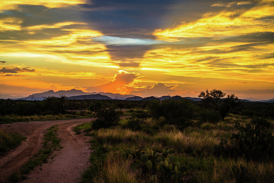 Tucson Photograph - Sonora Desert Sunset #12 by Troy Q Nelson