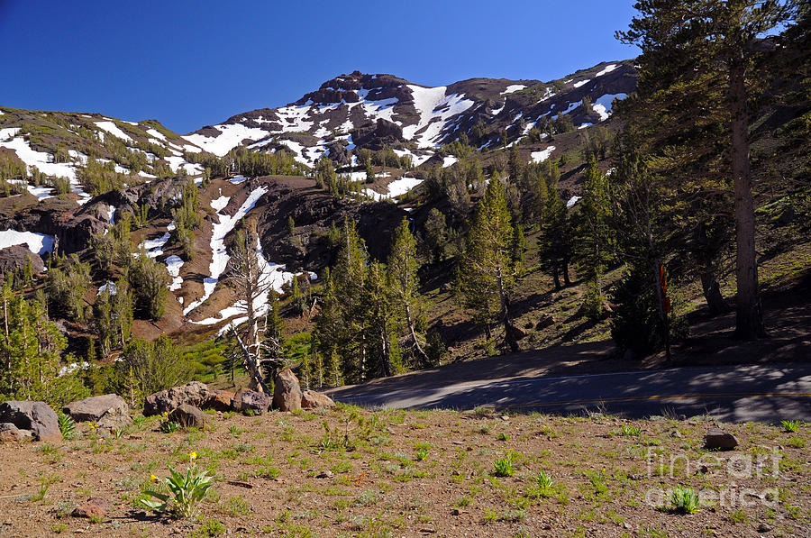 Sonora Pass area Photograph by Cindy Murphy - NightVisions 