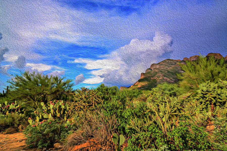 Sonoran Afternoon op12 Photograph by Mark Myhaver