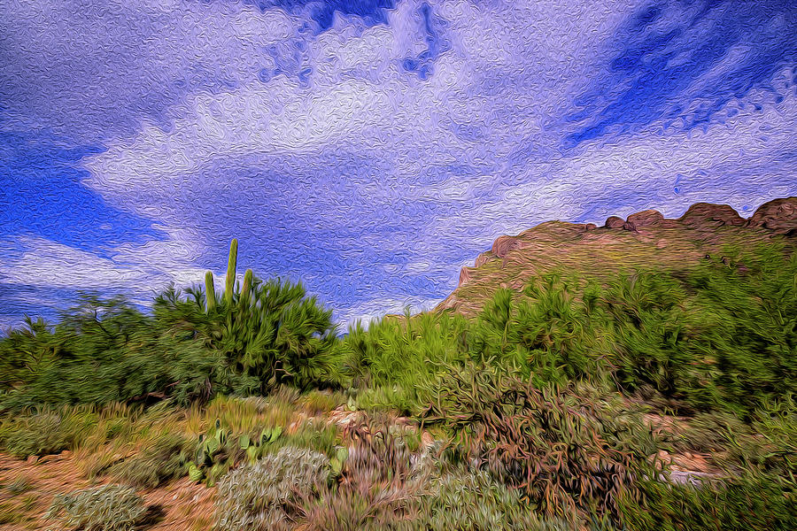 Sonoran Afternoon op41 Photograph by Mark Myhaver