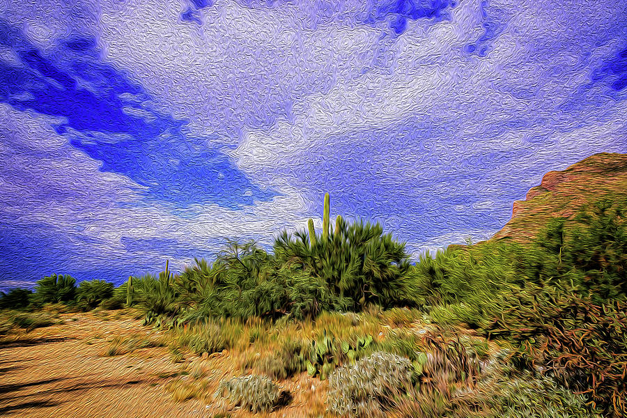 Sonoran Afternoon op8 Digital Art by Mark Myhaver