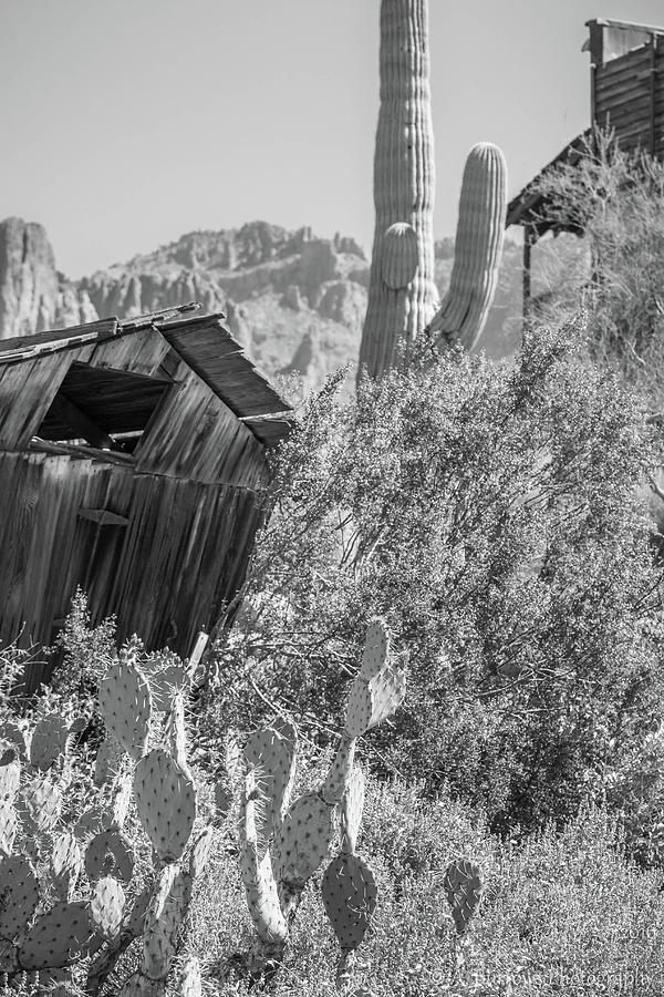 Sonoran Cabin Photograph by Aaron Burrows