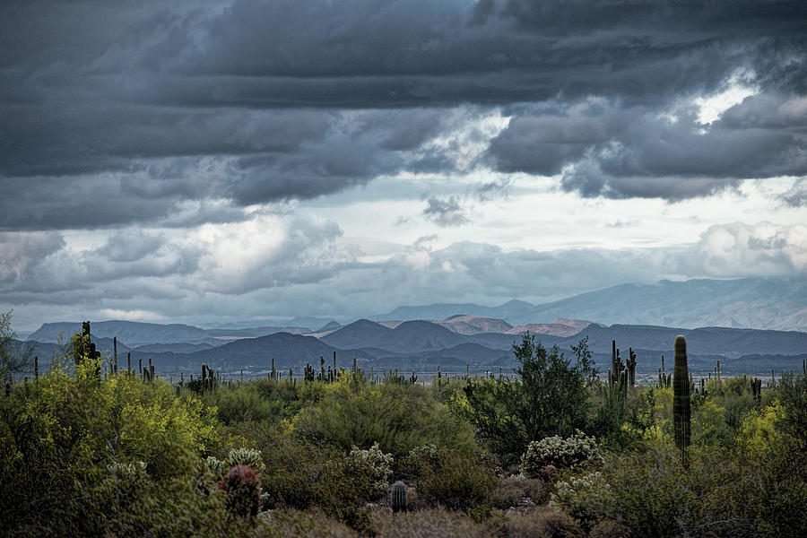 Sonoran Desert at Phoenix Photograph by Kenneth Roberts