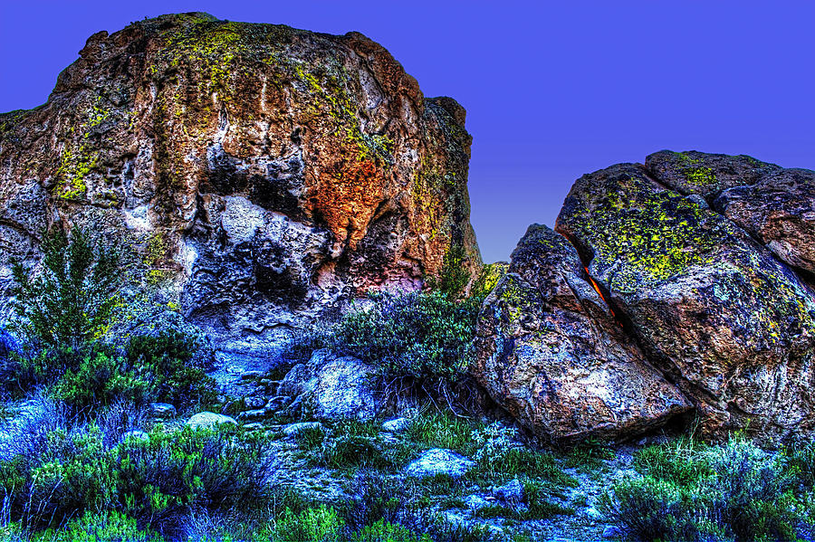Sonoran Desert in the Superstition Wilderness Photograph by Roger Passman