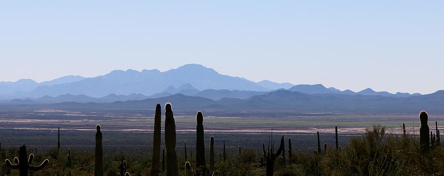 Sonoran Desert Landscape  Photograph by Christy Pooschke