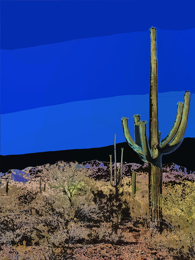 Sonoran Desert Moonlight Photograph by Dominic Piperata