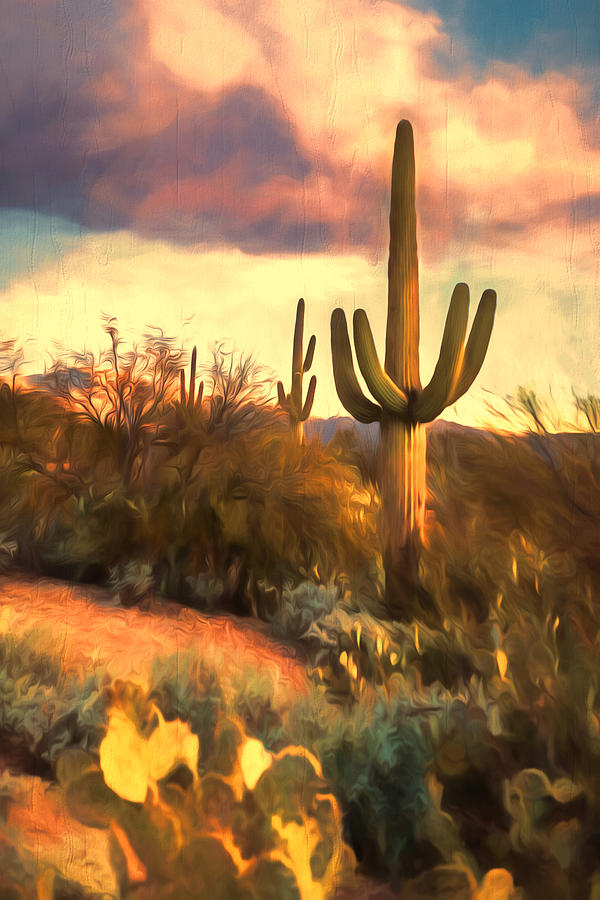 Sonoran Desert Morn Photograph by Susan Rissi Tregoning