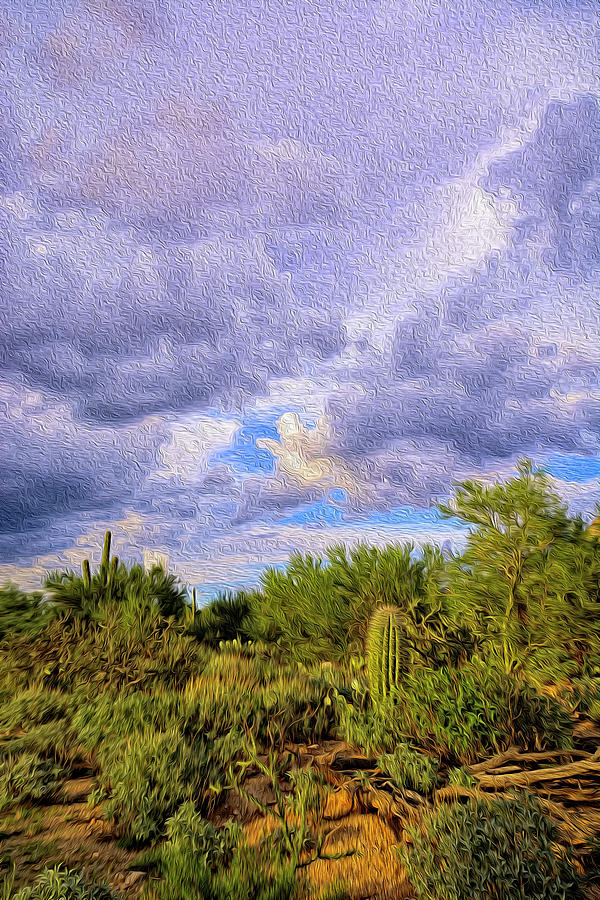Nature Photograph - Sonoran Desert op14 by Mark Myhaver