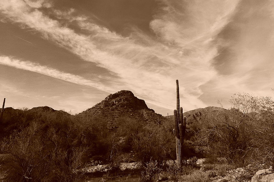 Sonoran Desert Sky Painting by Bill Tomsa