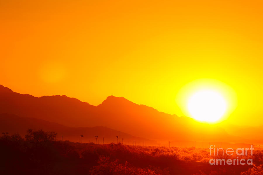 Sonoran Desert Sunrise Photograph by Max Allen