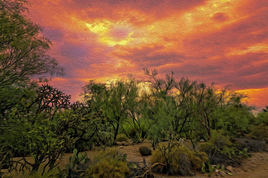 Sonoran Desert Sunset op46 Photograph by Mark Myhaver