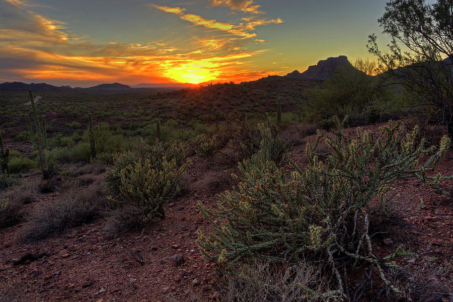 Sonoran Desert Sunset Photograph by Sue Cullumber