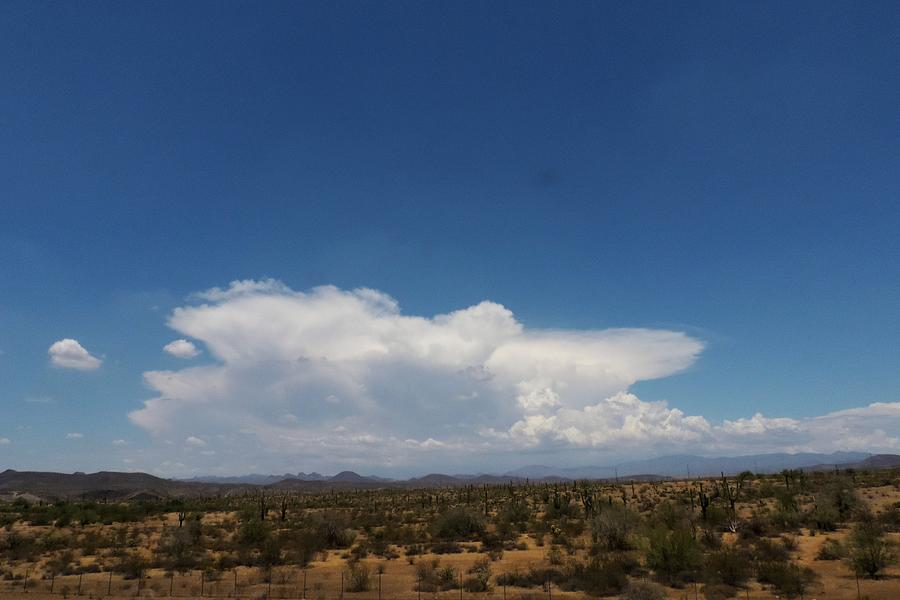 Sonoran Desert Thunderhead Photograph by Bill Tomsa