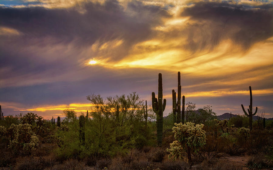 Sonoran Fall Sunset  Photograph by Saija Lehtonen