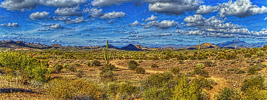 Sonoran Panorama Photograph by Roger Passman