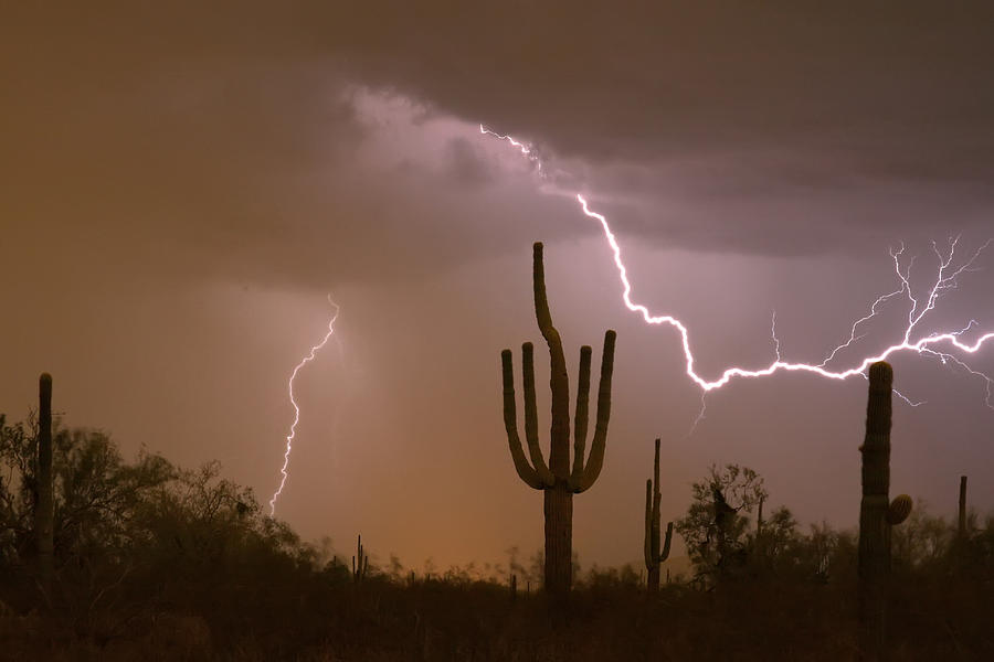 Sonoran Saguaro Southwest Desert Lightning Strike  Photograph by James BO Insogna