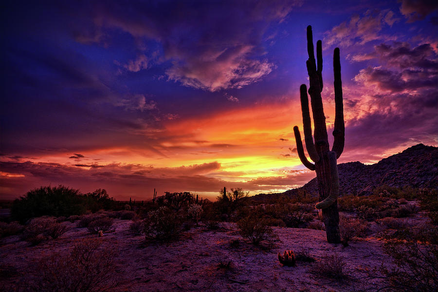 Sonoran Skies Alive With Color  Photograph by Saija Lehtonen
