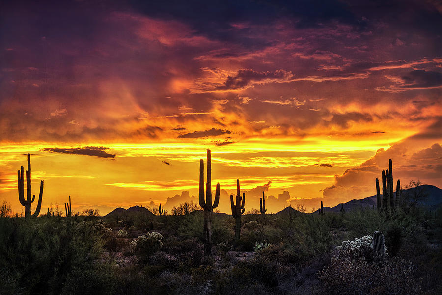 Sonoran Skies At Sunset Photograph by Saija Lehtonen