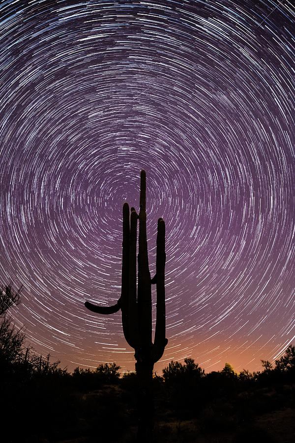Sonoran Star Trails Photograph by James Capo