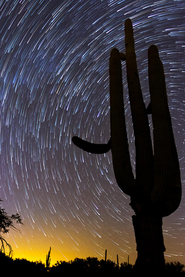Sonoran Startrails - Reaching for the Stars Photograph by James Capo