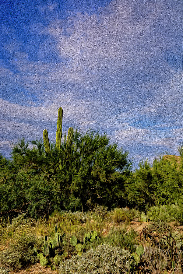 Sonoran Summer op18 Photograph by Mark Myhaver