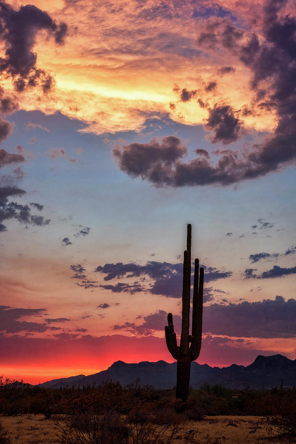 Sonoran Summer Sunset  Photograph by Saija Lehtonen
