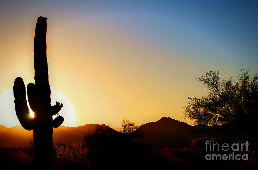 Nature Digital Art - Sonoran Sunrise by Dan Stone