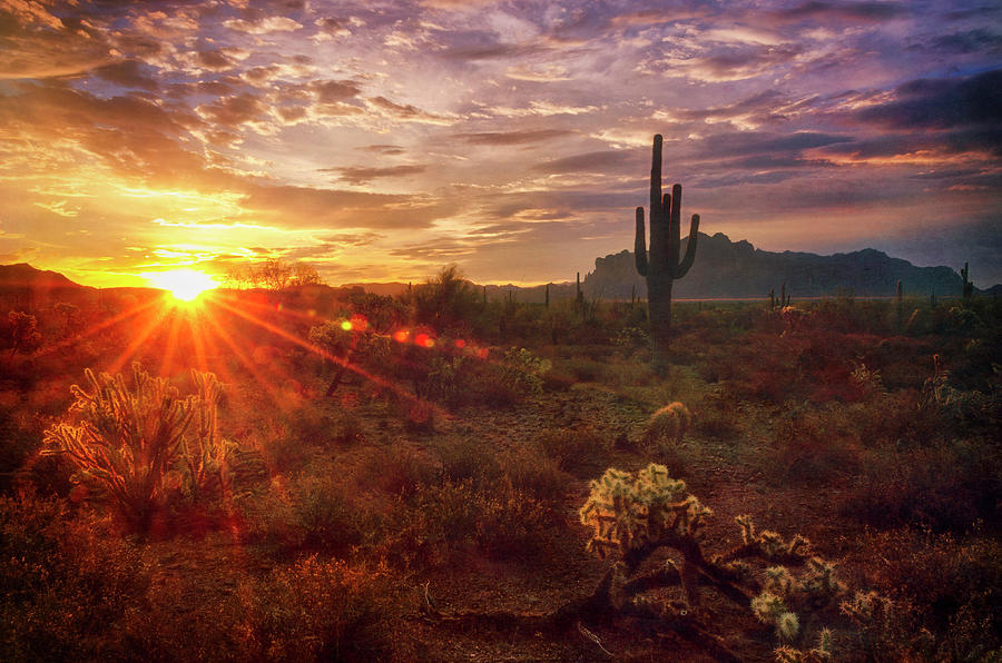 Sonoran Sunrise Is Calling Photograph by Saija Lehtonen - Pixels
