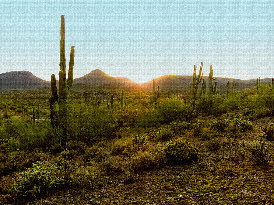 Sunset Photograph - Sonoran Sunset by Gordon Beck