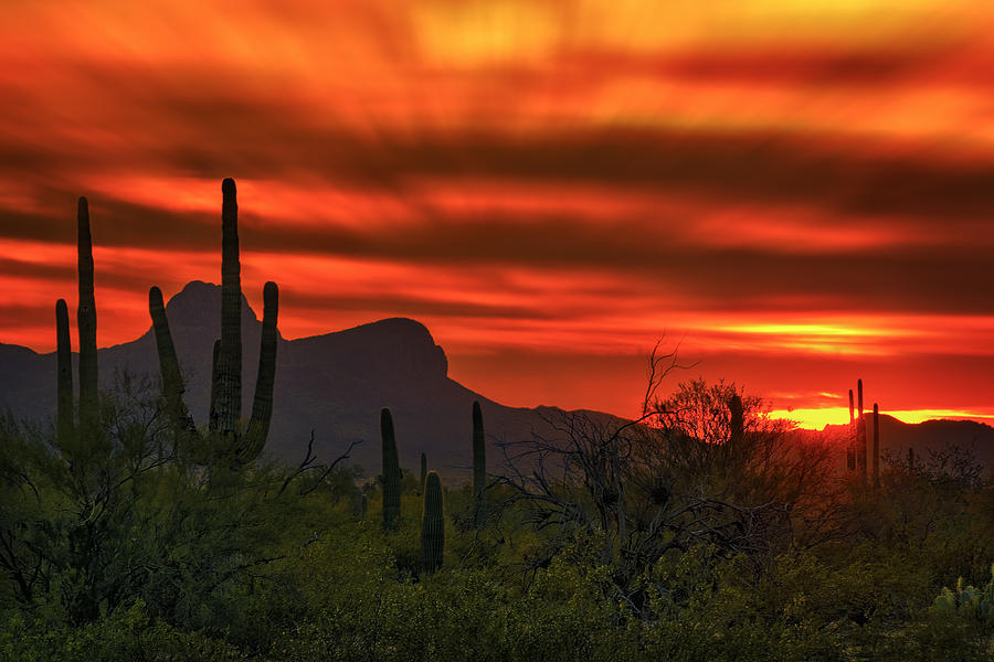 Nature Photograph - Sonoran Sunset H38 by Mark Myhaver