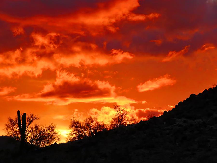 Sonoran Sunset on Fire Photograph by Judy Kennedy