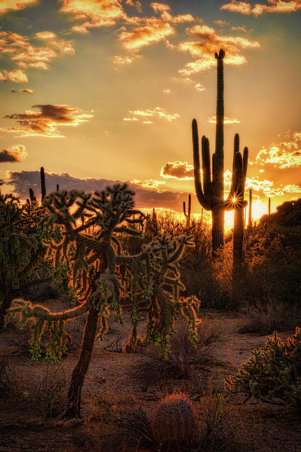 Sonoran Sunset on the Horizon  Photograph by Saija Lehtonen
