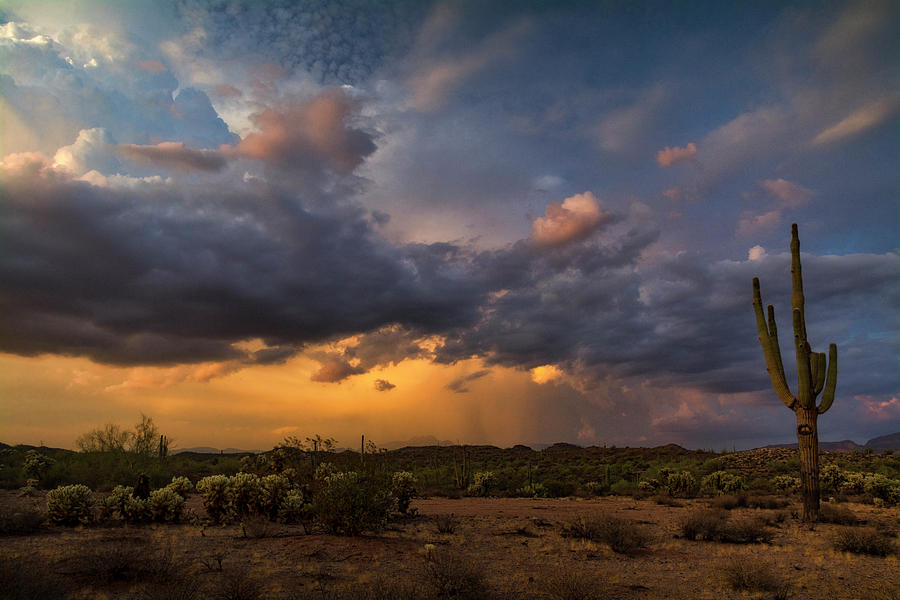 Sonoran Sunset Rain  Photograph by Saija Lehtonen