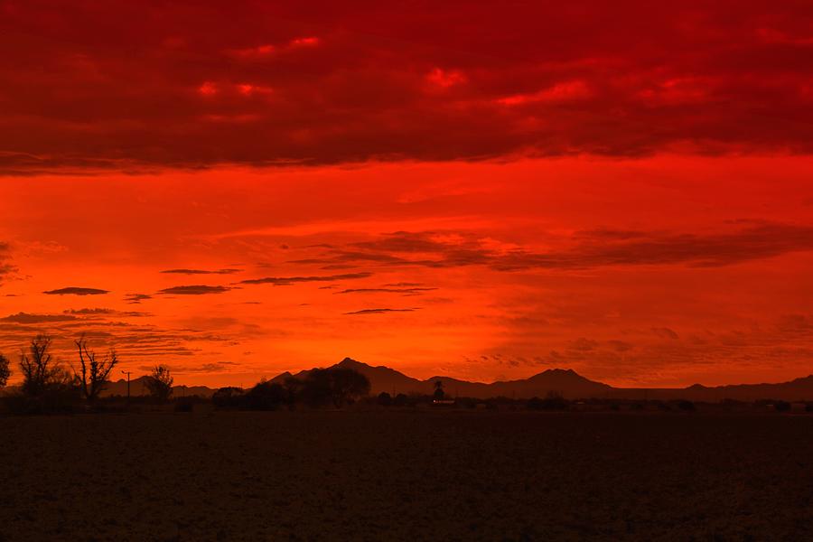 Sonoran  sunset Photograph by Sheila Ping
