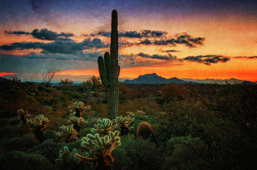 Sonoran Sunset Southwest Style  Photograph by Saija Lehtonen