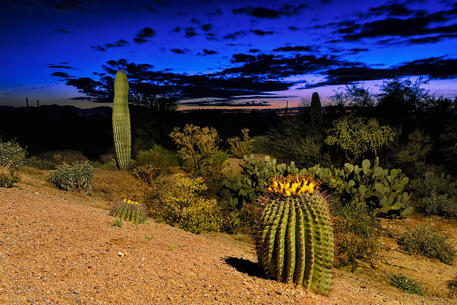 Sonoran Twilight Photograph by Mark Myhaver