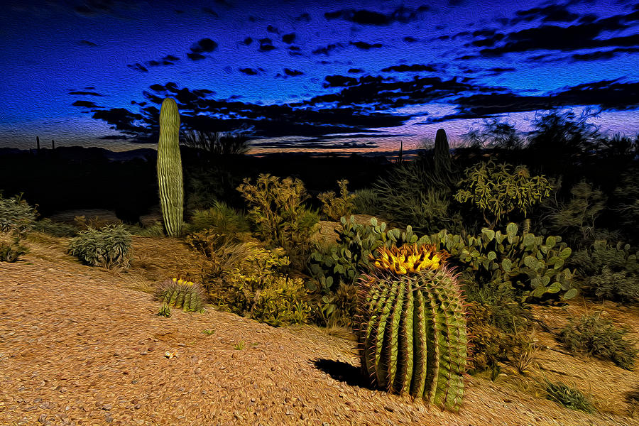 Sonoran Twilight No2 Photograph by Mark Myhaver