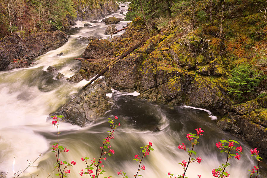 Waterfall Photograph - Sooke Creek by Alan W