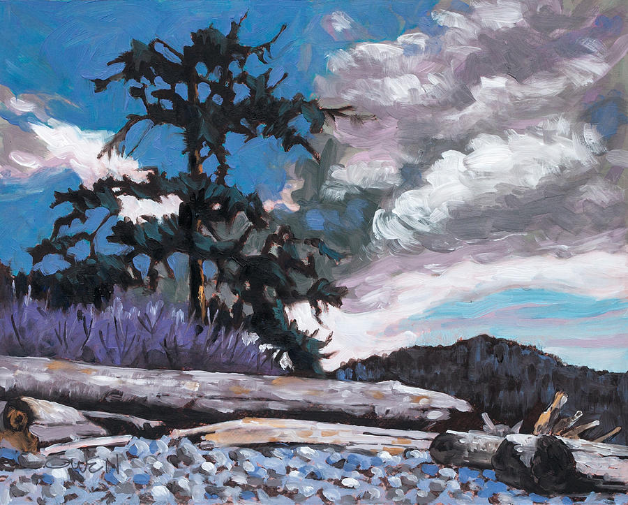 Sooke, Whiffin Spit Painting by Rob Owen