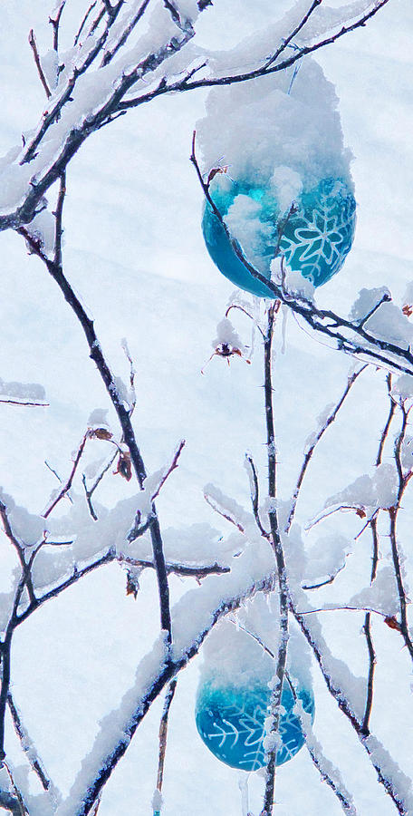Winter Photograph - Soon by Ian  MacDonald