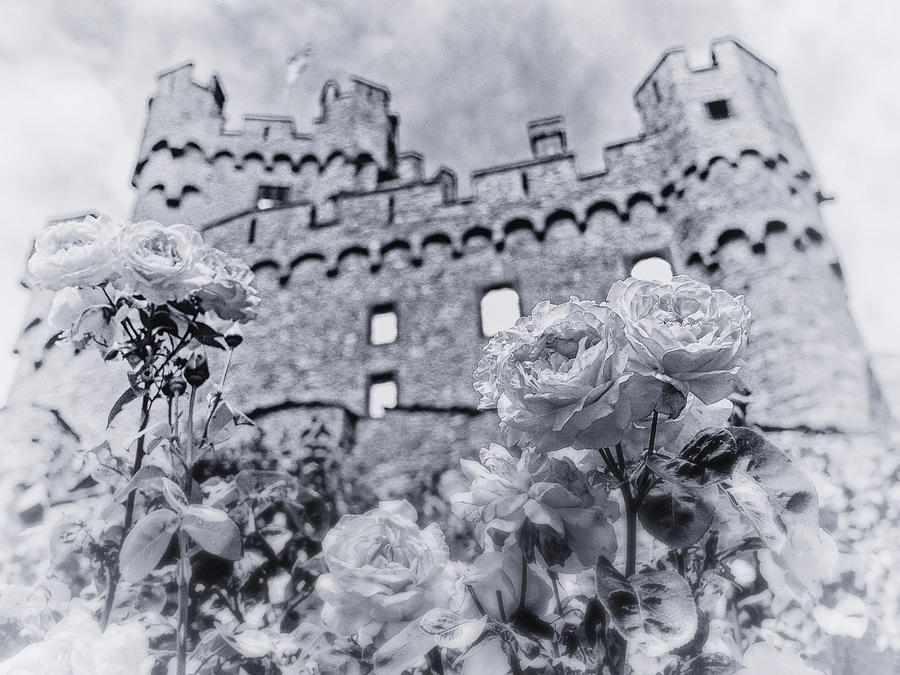 Castle Photograph - SOONECK castle by Hans Zimmer