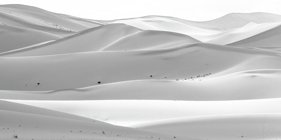 Soothing desert Photograph by Hitendra SINKAR