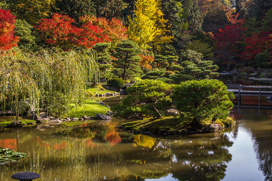 Soothing Garden Photograph By Calazone's Flics 