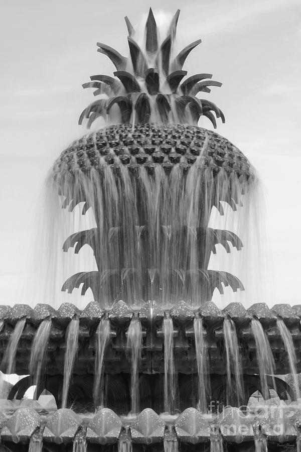 Soothing Pineapple Photograph by Jennifer White