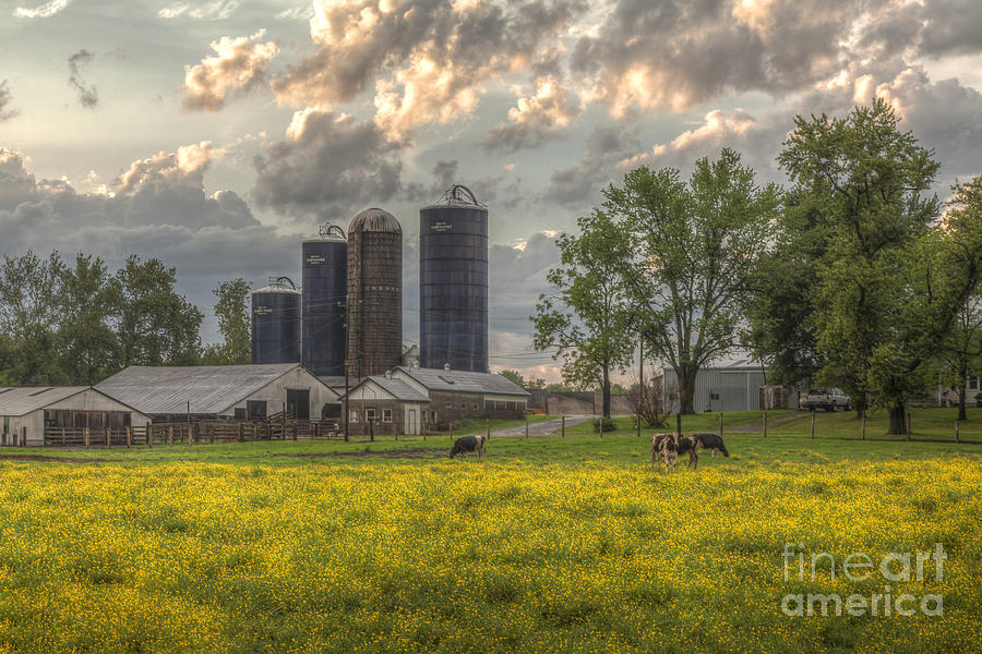 Spring Photograph - Soothing Scene by Larry Braun