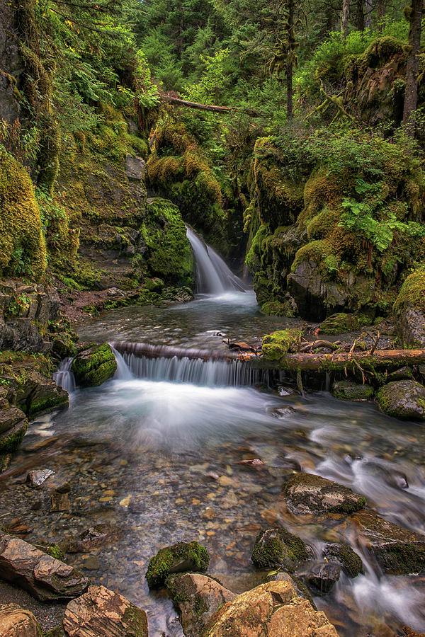 Soothing Serenade Photograph By Philip Kuntz   Fine Art America