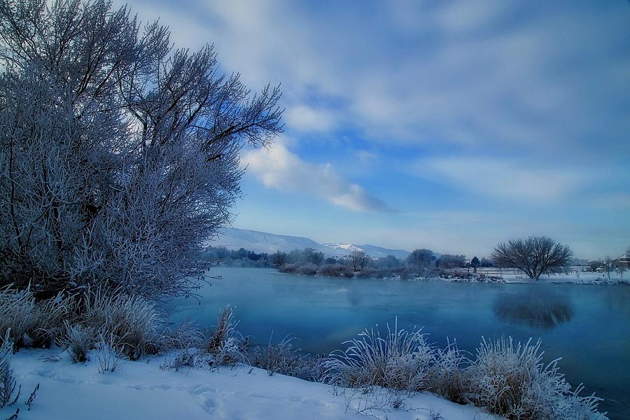Soothing winter blue  Photograph by Lynn Hopwood