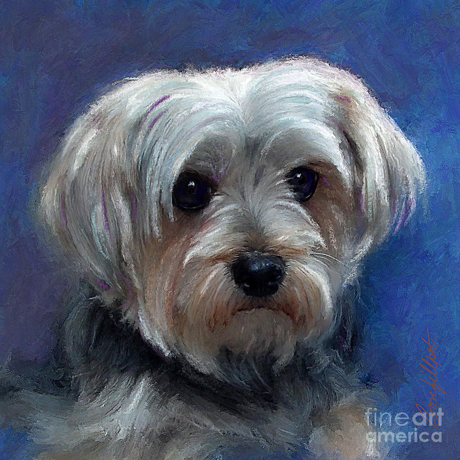 Dog Painting - Sophia Grace by Bon and Jim Fillpot