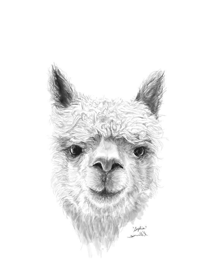 Llama Drawing - Sophia by Kristin Llamas