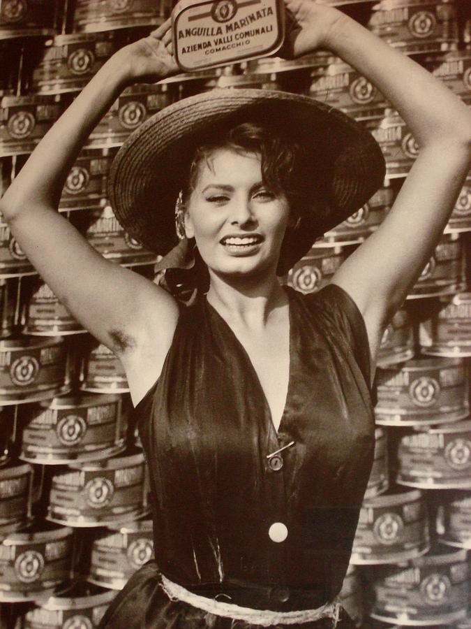 Sophia Loren On a Poster Photograph by Yuri Tomashevi